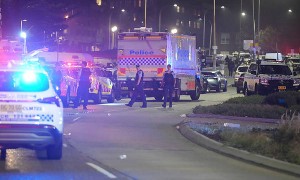 澳大利亚海滩枪击事件两名枪手身份确定